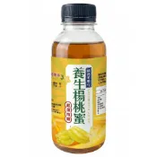 養生楊桃蜜 300ml ｜ 古法熬煮 酸甜回甘 生津止渴 傳統風味 沖泡便利 冷熱皆宜 隔日配 MO