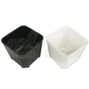 (店+)【蔬菜之家】多肉透氣四方矮盆矮3~5吋 可加購水盤 透氣盆 花盆 多肉盆 育苗盆 觀葉盆 多肉植物 塑膠盆