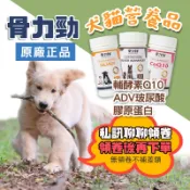 獸醫院原廠 折價券+蝦幣回饋 E骨力勁 FelixDog® 關節軟骨保護 CoQ10 心血管 寵物保健 貓犬