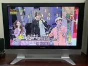 Panasonic 國際牌 42吋電漿顯示器 TH-42PM50T【有紅色點點】