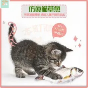 🐱本町萌寵🐱逗貓玩具 貓草魚 貓抱枕 貓薄荷 貓草抱枕 貓薄荷玩具 魚抱枕 貓草枕 貓草玩具 貓玩具 抱枕 玩偶