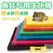 【桃園出貨】角蛙海綿 買2送1 角蛙生化棉 舒適不磨腳 易清洗 超柔軟 兩棲爬蟲墊材 烏龜 霸王角蛙 蝴蝶角蛙 綠角蛙