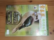 2025年常春藤解析英語（僅書）