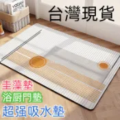 台灣出貨 丝圈 皮革 硅藻土 地墊 圭藻土 軟地墊 吸水 軟式 軟地墊 速乾 廚房 浴室 洗手間 防滑墊 門墊 踏墊
