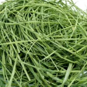 【青禾寵物牧草】已過篩 燕麥草 苜蓿 提摩西一割二割百慕達甜小麥草牧草牛羊馬小寵通用高纖粗飼料維持反芻與小型寵物消化機能