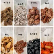 汪福記⌘蜜餞 💕 甘草杏李、無花果、甘甜梅、梅肉、陳皮、冰梅、薄荷金桔