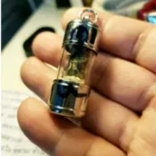 泰和殿佛牌🇹🇭魯士納萊 達固姆皮 百步靈蛇皮符管 勇氣 招財 護主🇹🇭 #泰國佛牌
