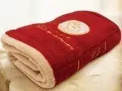 冷氣毯 造型毯 安妮兔書本造型毯60cmx80cm(PP袋)