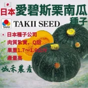 城禾農產🍃 日本愛碧斯栗子南瓜種子 8粒 愛碧斯南瓜種子 栗子南瓜種子 日本栗子南瓜種子 栗子南瓜種子 南瓜種子 南瓜籽