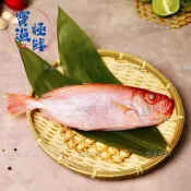 【寶漁極鮮】台灣紅目鰱｜野生手釣｜保留魚肝鮮香滑嫩｜肉多刺少細緻好吃｜整尾處理方便料理｜清湯紅燒乾煎皆適合