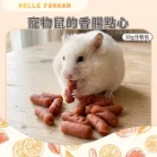 柑仔牧場探險🍊｜寵物鼠的香腸點心 雞肉 牛肉口味 30g 倉鼠磨牙零食 寵物鼠 倉鼠零食 黃金鼠零食 倉鼠點心 布丁鼠