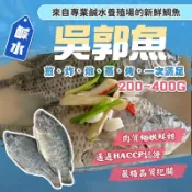 【漁讚】外銷級超鮮嫩！鹹水吳郭魚 黑公 鹹水台灣鯛魚 無土味無腥味 吳郭魚 現殺鯛魚 鯛魚 台灣鯛魚 台灣吳郭魚 黑公魚
