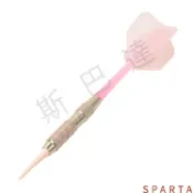 💪斯巴達👊【桃園出貨】東業飛鏢 軟式飛鏢18克塑料頭電子飛鏢靶盤針安全飛標3支裝一體