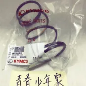 《少年家》KYMCO 光陽 原廠 LKC6 離合器彈簧 G5 雷霆S VJR125 G6 大彈簧