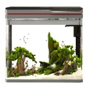 【MR.AQUA水族先生】上蓋可掀式套缸上部過濾ㄇ型LED套缸 29cm 靜音馬達/高清玻璃(燈+過濾+濾材 ZR300)