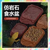 ★爬蟲新樂園★[台灣現貨]爬蟲防真岩石食水盆 塑料材質 無毒無味 可當食盆 水盆 泡澡盆 內外爬梯 清洗方便 守宮 蜥蜴