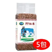 【天禾玉】冠軍米-養生紅米5包量販價《600公克真空包裝》免運