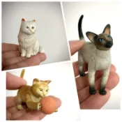 4D Master 3D PUZZLE 立體益智模型拼圖 貓科動物
