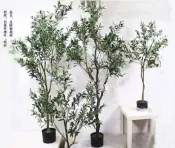 協貿國際日用品生活8館 大型仿真橄欖樹榕樹蕨草旅人蕉發財樹盆景花藝造景室內裝飾