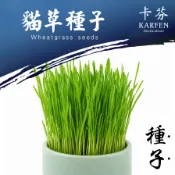 貓草種子「進含量約50粒」貓草種植 小麥草種子 大麥草種子 黑麥草種子 貓薄荷種 燕麥種子 蔬果種子 卡芬園藝