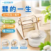 🌈「一起探科學」科技小製作國小生diy材料蠶的一生兒童幼兒園拼裝模型材料包教具