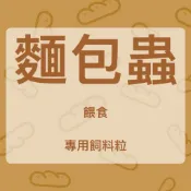 【蟑東西】麵包蟲餵食飼料粒/麥麩/麥片/水蒟蒻