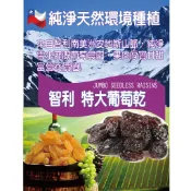 網紅團購批發 【智利特大黃金葡萄乾300g】 無籽葡萄乾 白葡萄 烘培原料葡萄乾 零食果乾 銅板購 各式果乾 團購批發