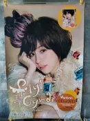 正版宣傳海報 王心凌 心電心 fly，cyndi 海報 輕