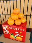 (現貨) 2021 茂谷柑 明正里 茂谷 東勢  產地直銷 ((過年 送禮 伴手禮 禮盒 優惠 折扣