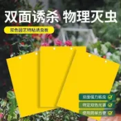 爆款推薦📣雙麵粘蟲黃闆誘蟲闆柑橘子樹瓜果實蠅果園針蜂大棚薊馬蒼蠅藍闆尺寸15*10黏蟲紙 雙面黏蟲板 蒼蠅補誘板 誘蠅紙