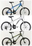 2020 HASA comp 2.0 20吋 童車 青少年 18速 自行車 登山車 前後輪 快拆 高雄 盛恩