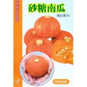 【隔日到貨】 砂糖南瓜(橘皮栗子南瓜)【蔬果種子】 興農牌 中包裝種子 約6粒/包