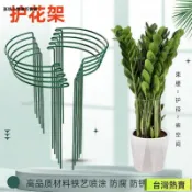 【防倒伏固定】花支柱 金錢樹 龜背竹 天堂鳥 支撐架 護花架子 定型架 植物固定架 園藝工具 盆栽支架