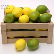 (MOLD-A_041)仿真水果假水果模型攝影道具櫥柜裝飾品幼教教學用具仿真黃檸檬
