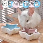 🏡龍貓安親班-板橋店🏡馬卡龍色系 海星陶瓷草盆 食盆 牧草盆 飼料盆 龍貓 兔子 天竺鼠