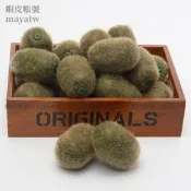 (MOLD-A_221)高仿真水果假水果蔬菜食物模型食品道具超逼真仿真奇異果獼猴桃