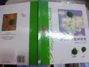 【2102桑園】小小數學繪本｜09迷路的小氣球亮亮｜培養觀察能力的分類觀念｜閣林國際｜ 繪本 童書