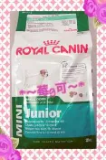 *~莓G可~*法國皇家狗飼料 小型幼犬(APR33) 15kg 台北市