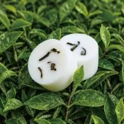 【The Forest 癒森林】四季春香氛蠟塊4入組23g*4 檸檬+茶香+茉莉(香氛蠟燭/蠟磚/居家香氛/買一送一)