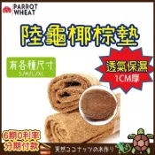 (店+)椰棕墊【24H台灣出貨】爬蟲椰棕墊材 墊材 飼養箱 陸龜墊料墊材 爬蟲 陸龜 蜥蜴 爬蟲箱 椰墊 蜘蛛 守宮 陸龜用品