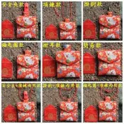 Sofie 機縫工房【發財豬】迷你版加大版 安全夾平安符袋 掛鉤護身符袋 紅色燙金開運袋 手作項鍊御守 手工鑰匙圈香火袋
