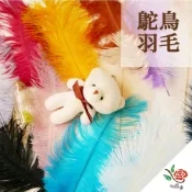 (店+)鴕鳥羽毛 駝鳥 極度花燥 資材 永生花 乾燥花 不凋花 羽毛 攝影道具 畢業季 畢業 七夕 情人節