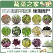 【蔬菜之家】芽菜類種子系列(各包裝數量詳見內文及圖片說明)苜蓿芽 蘿蔔嬰 青花椰菜芽 小麥草 豌豆嬰 紫高麗