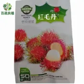 【原裝】稀有紅毛丹種子！台灣也能種出南洋甜蜜果實，果肉飽滿多汁，自家採收新鮮直吃。耐熱好顧，陽台盆栽或庭院地栽皆宜
