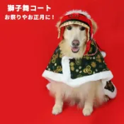 貝果貝果 日本 pet paradise 新春賀喜 舞龍舞獅 造型披肩 / 大狗 [D12430] 臘腸
