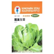 (店+)【天橙種子】蘿蔓生菜種子  SV-145 約4公克  特選種子 葉菜類 農友種苗 彩色原包裝
