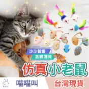 【現貨秒發 自嗨逗貓必備】仿真小老鼠 毛絨小老鼠 仿真老鼠 寵物玩具 貓玩具 貓草 貓薄荷 貓咪玩具貓草玩具