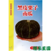 種子王國 黑皮栗子南瓜 栗子南瓜 【蔬果種子】著果率高 高產量品種 日本進口 興農種苗 家庭園藝 原包裝種子 每包約6粒