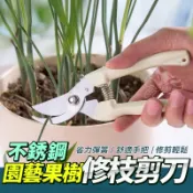 大信百貨》不鏽鋼 修枝剪刀【新品特價】採果剪 檳榔剪刀 果樹剪 花枝剪 修枝剪 粗枝剪刀 樹枝剪 花剪