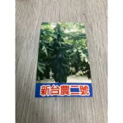 綠園-木瓜苗-新台農二號-新台農2號-黑軟盆